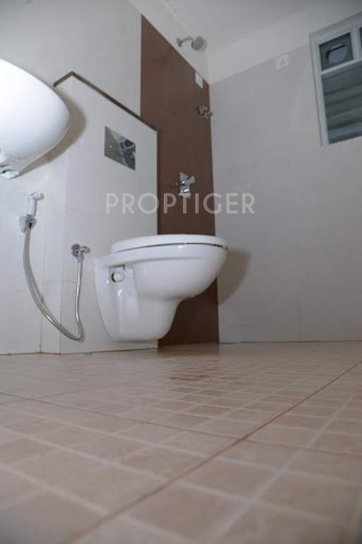 Images for Main Other of Space Serene Streak