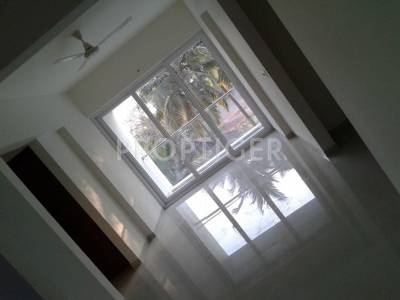 Images for Main Other of Space Serene Streak