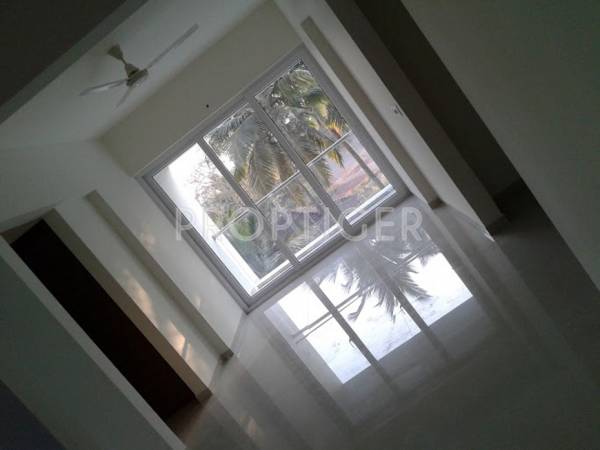 Images for Main Other of Space Serene Streak