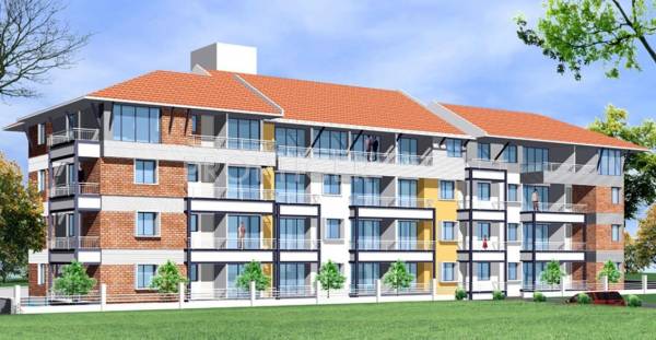 Images for Elevation of Space Silver Streak