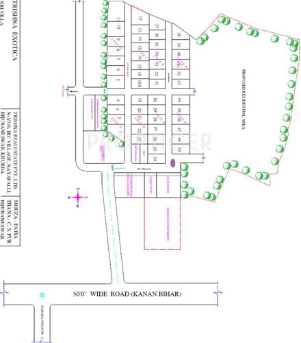 Images for Layout Plan of Trishna Exotica