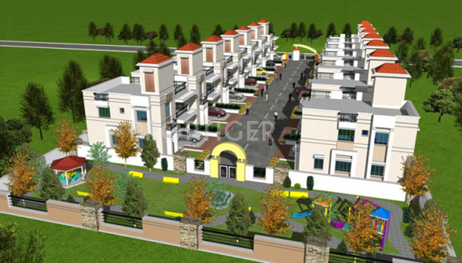 Images for Elevation of Trishna Sun Flower