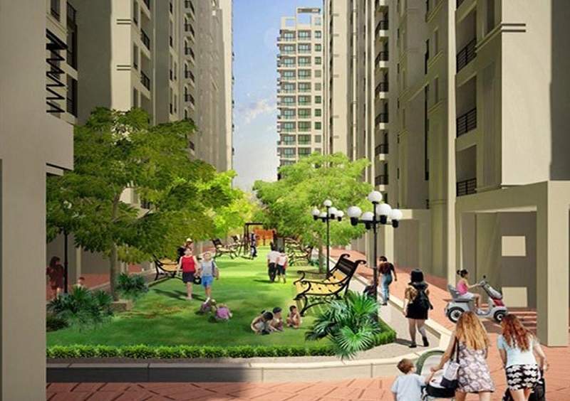  sun heights Landscape Garden and Tree Planting