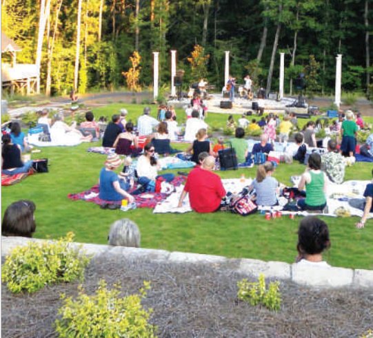  sun heights Senior Citizen Sitout