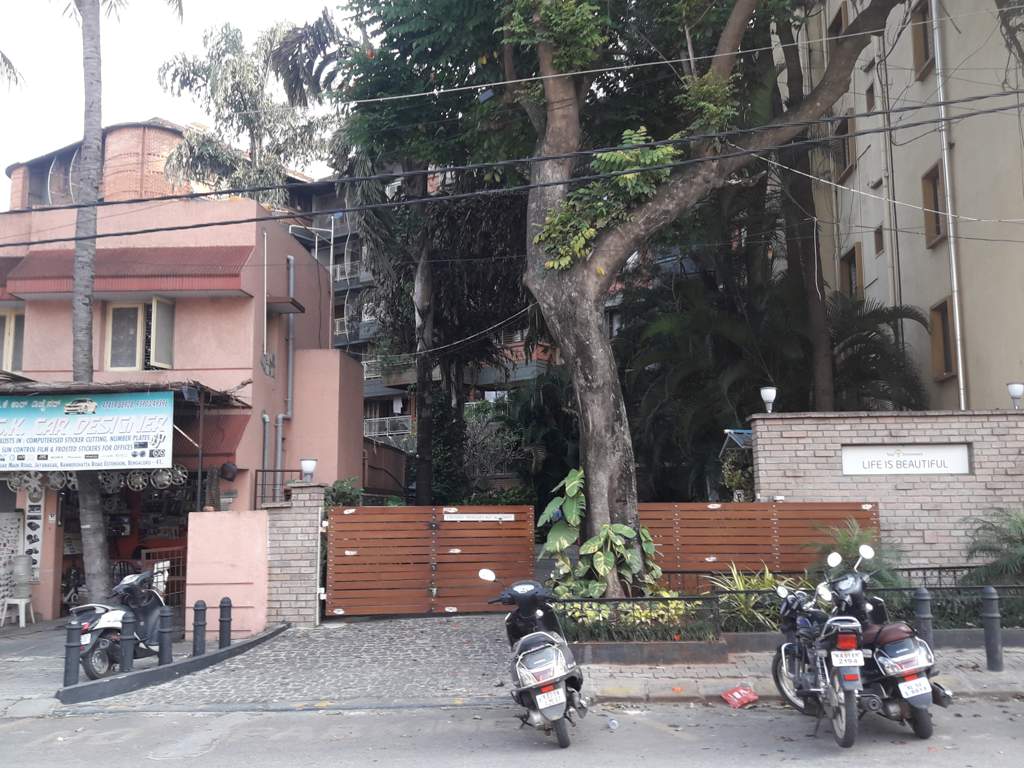  life is beautiful Elevation