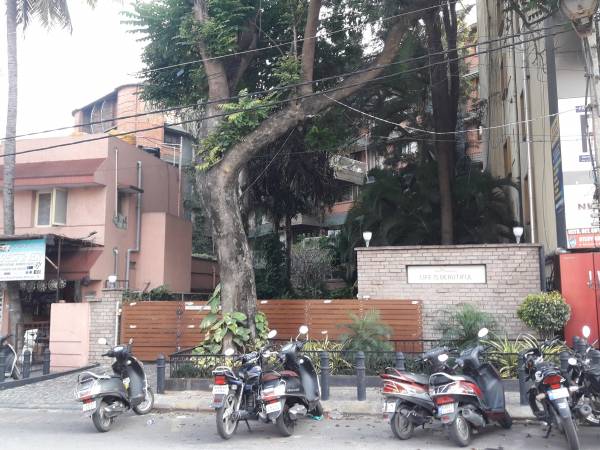 Car Parking life-is-beautiful Car Parking