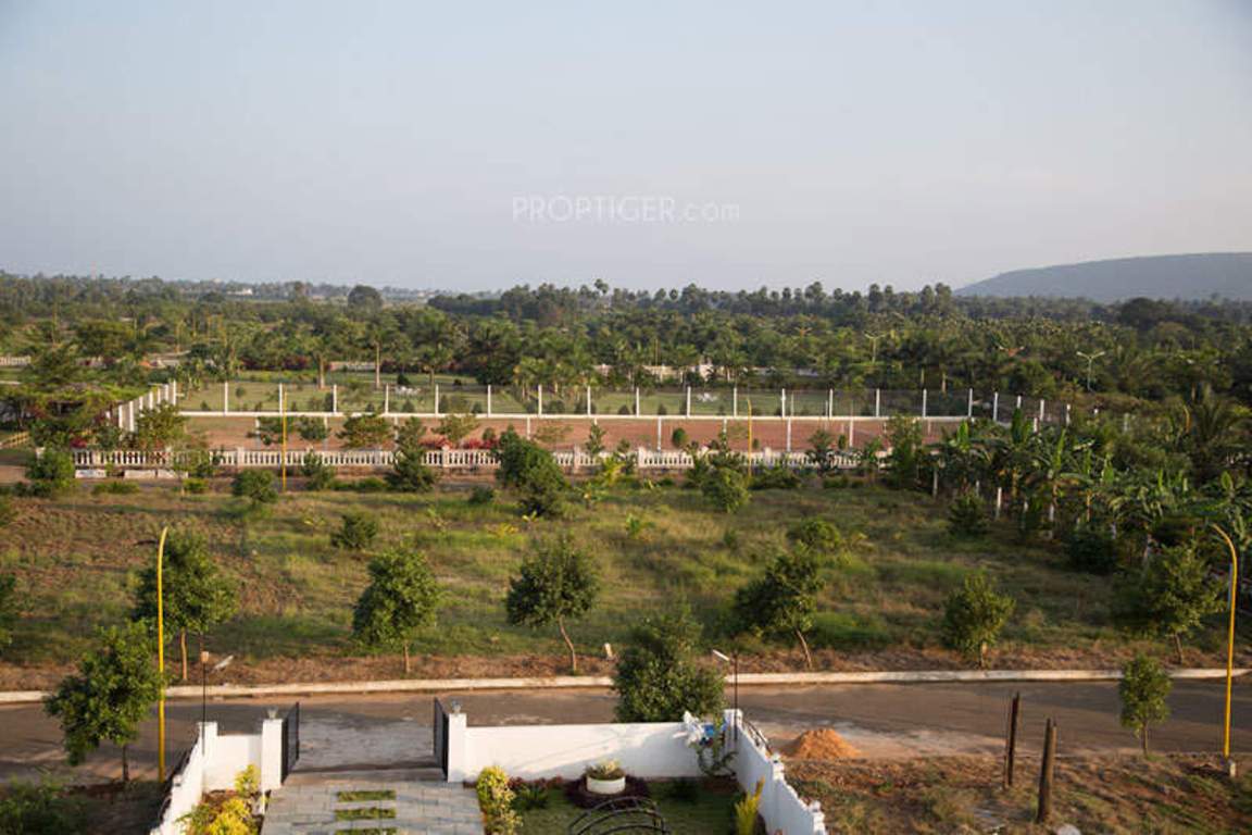 Images for Amenities of Chilukuri Brundavan Estates