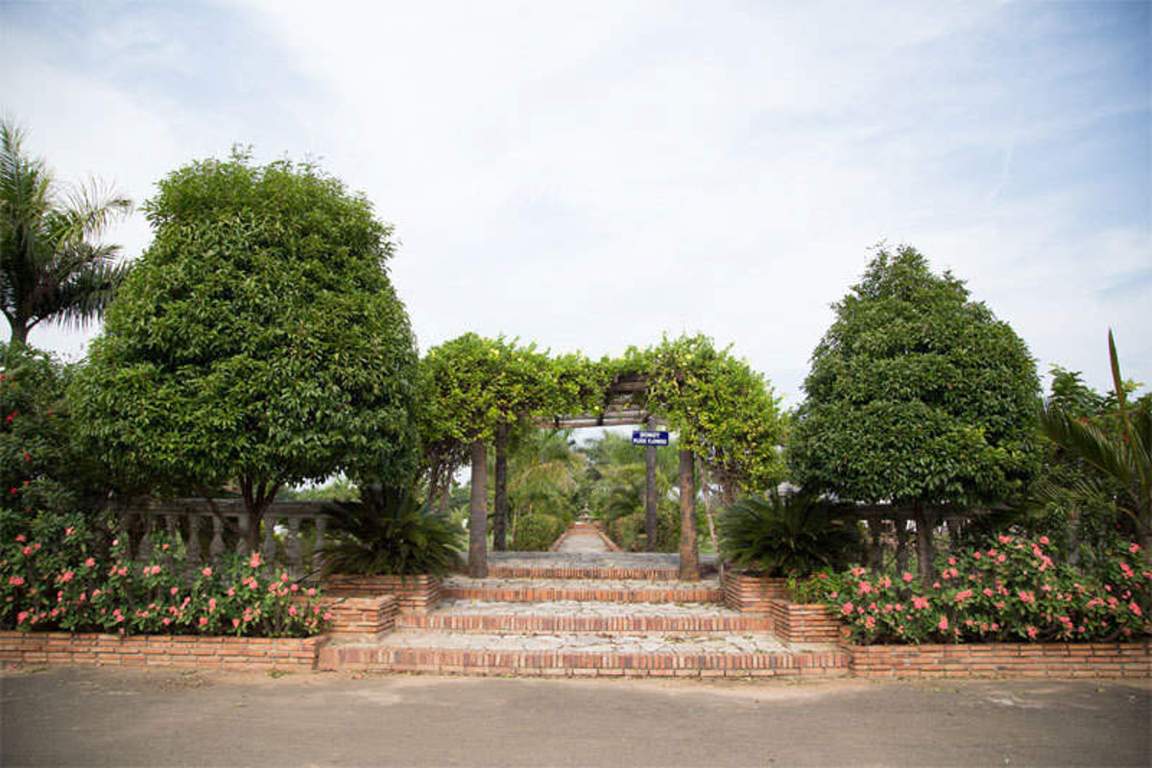 Images for Amenities of Chilukuri Brundavan Estates