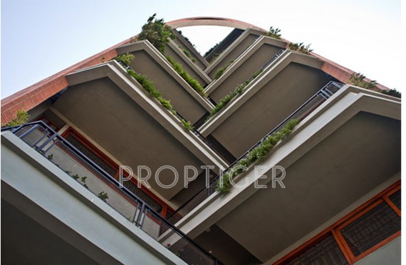 Images for Elevation of Total Environment Orange Blossom Special