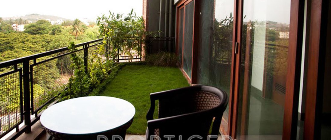 Images for Elevation of Total Environment Orange Blossom Special