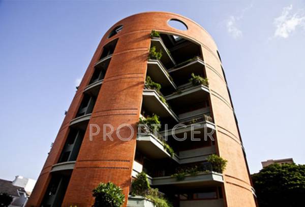 Images for Elevation of Total Environment Orange Blossom Special