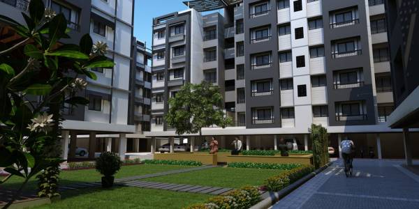  platinum Senior Citizen Sitout