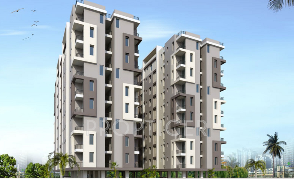 Images for Elevation of Coral Studio 2