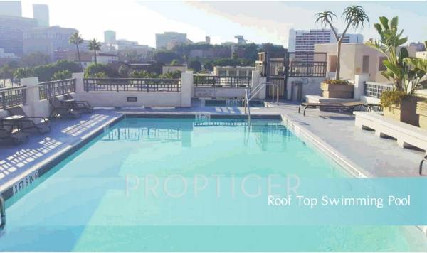 Images for Amenities of Coral Studio 2