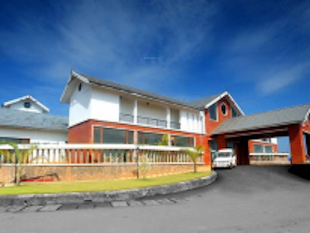 springdale Elevation