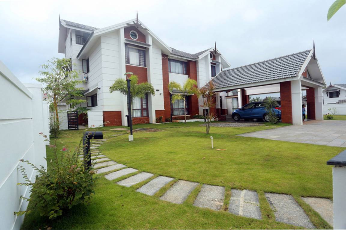 springdale Elevation