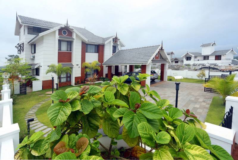  springdale Elevation