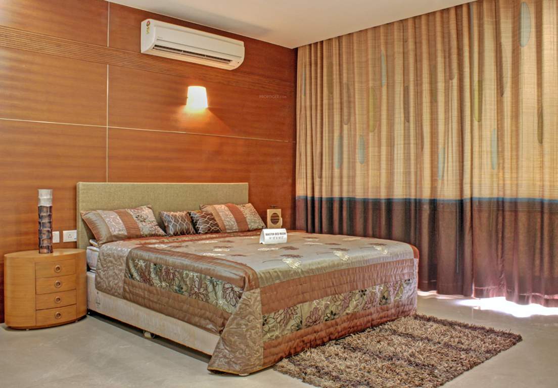 san lucas Images for Main Other of Pacifica San Lucas