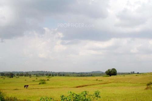  makhmalabad-plot Images for Amenities of Subhadra Estates Makhmalabad Plot