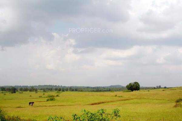  makhmalabad plot Images for Amenities of Subhadra Estates Makhmalabad Plot