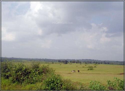  makhmalabad-plot Images for Amenities of Subhadra Estates Makhmalabad Plot