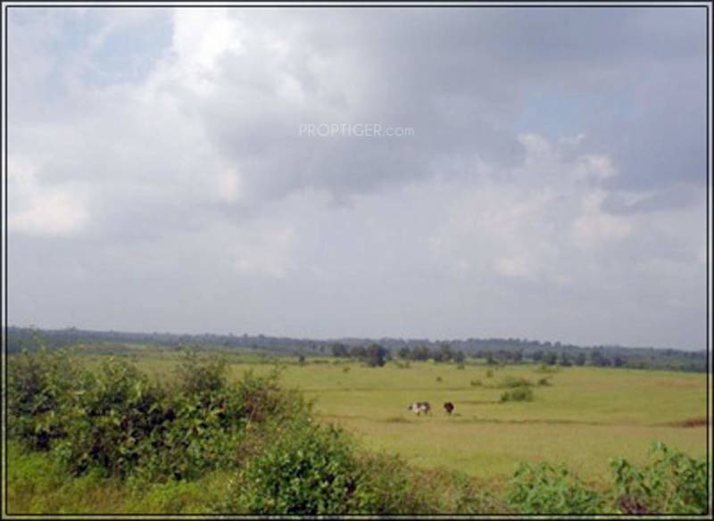  makhmalabad-plot Images for Amenities of Subhadra Estates Makhmalabad Plot