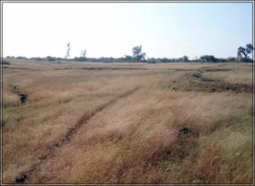  makhmalabad-plot Images for Amenities of Subhadra Estates Makhmalabad Plot