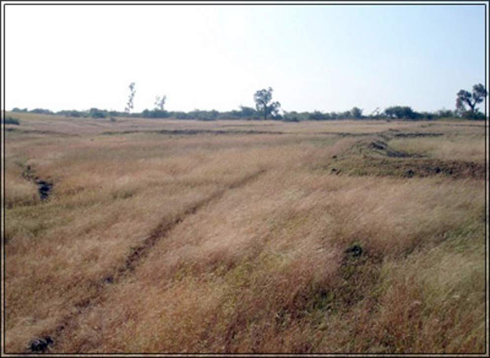  makhmalabad plot Images for Amenities of Subhadra Estates Makhmalabad Plot