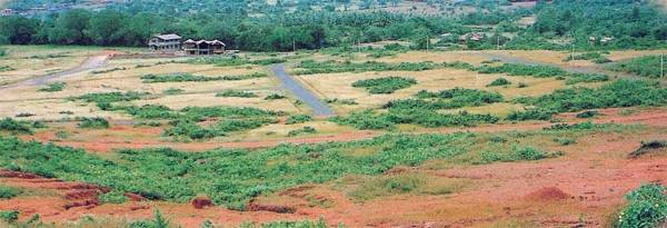  tara-estates Project Image