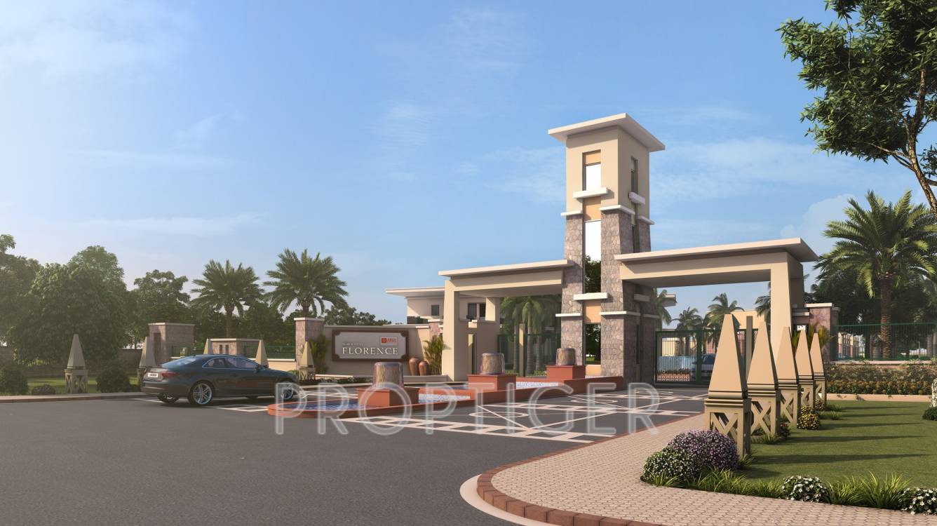  radha florence Project Image