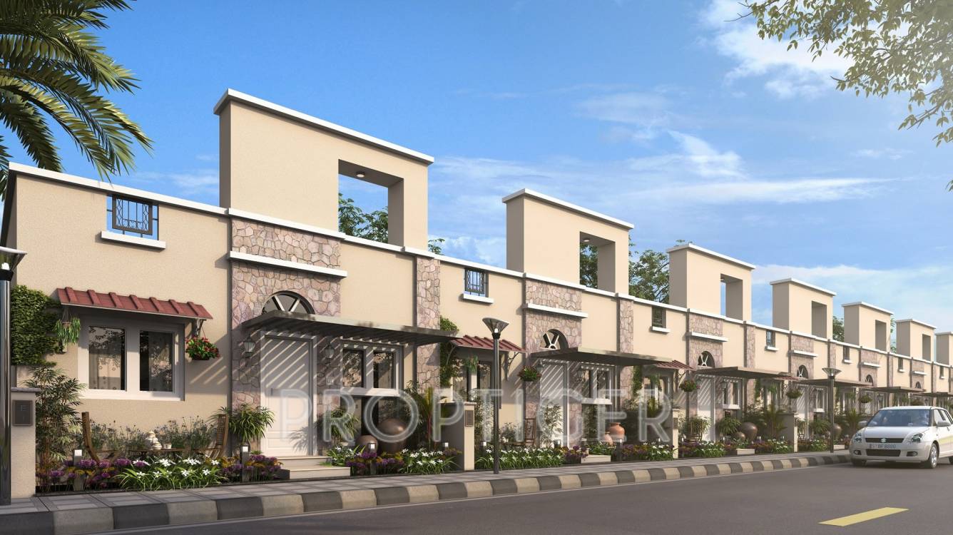  radha florence Project Image