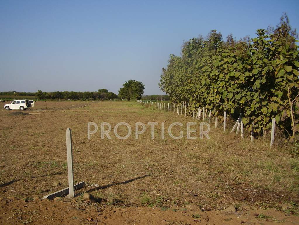  pinnacle Project Image