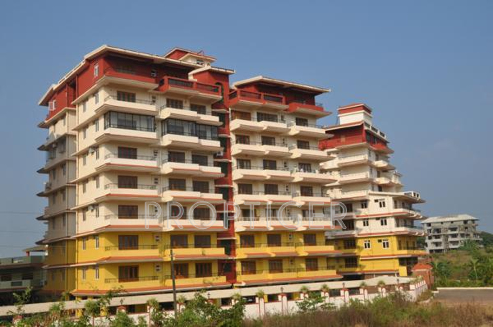  status Project Image