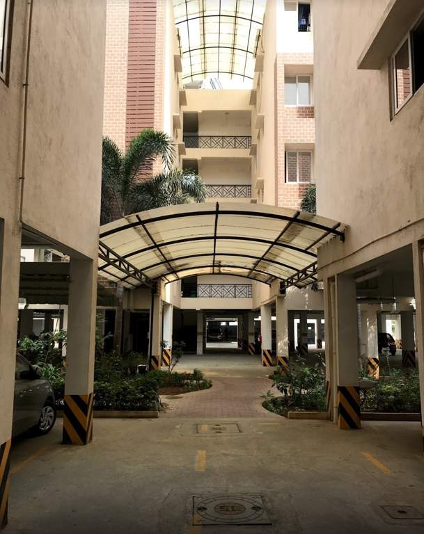  serene adinath Others