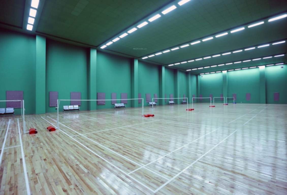  palm retreat daffodils Badminton Court