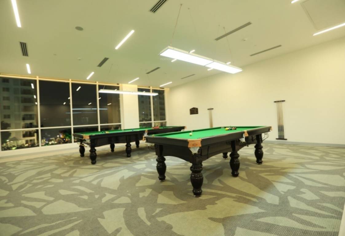  palm retreat daffodils Billiards/ Snooker Table
