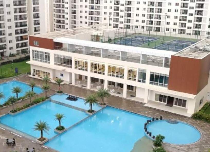  palm retreat daffodils Club House