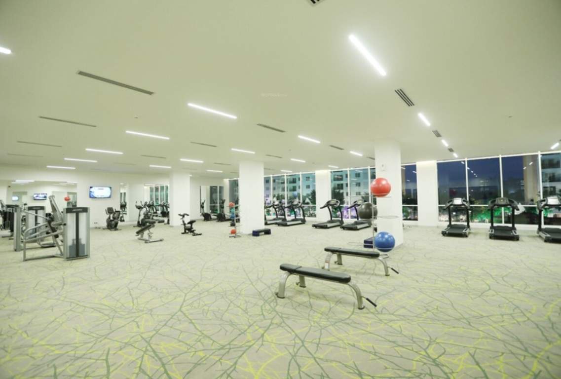  palm retreat daffodils Gymnasium