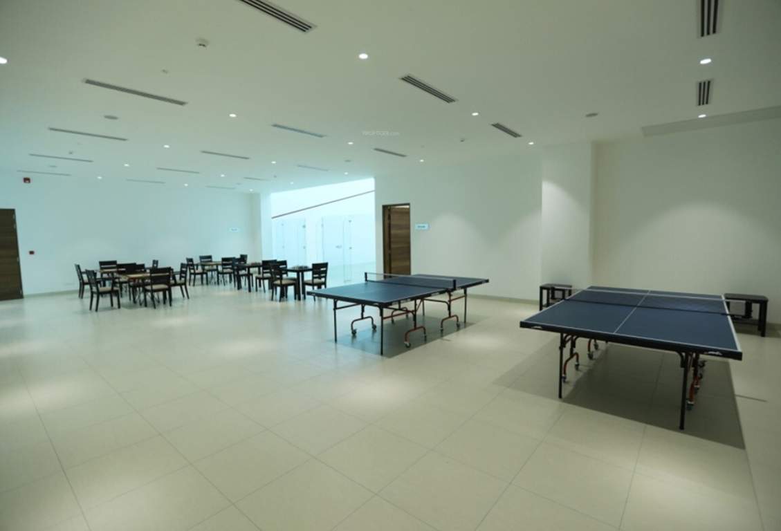  palm retreat daffodils Indoor Games