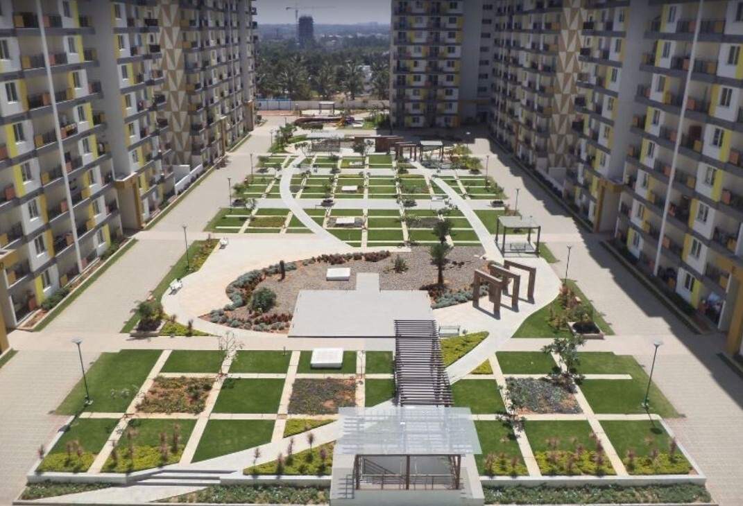  palm retreat daffodils Landscaped Gardens