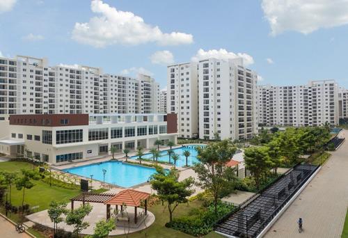  palm-retreat-daffodils Landscaped Gardens