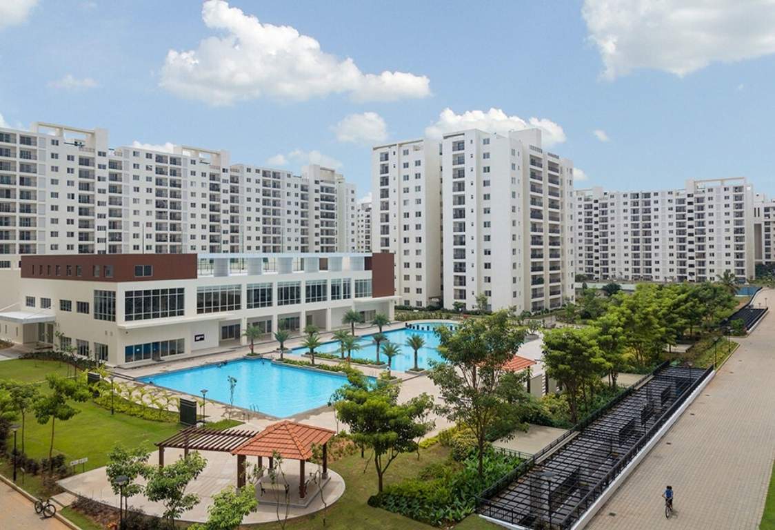  palm retreat daffodils Landscaped Gardens