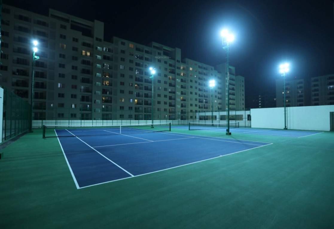  palm retreat daffodils Lawn Tennis Court