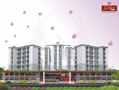 Project Image radiance-erectors-pvt.-ltd fortune-empire Project Image