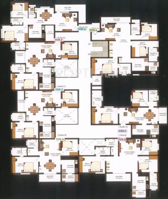  magnolia Images for Cluster Plan of Global Magnolia