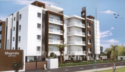 Images for Elevation of Global Magnolia magnolia Images for Elevation of Global Magnolia