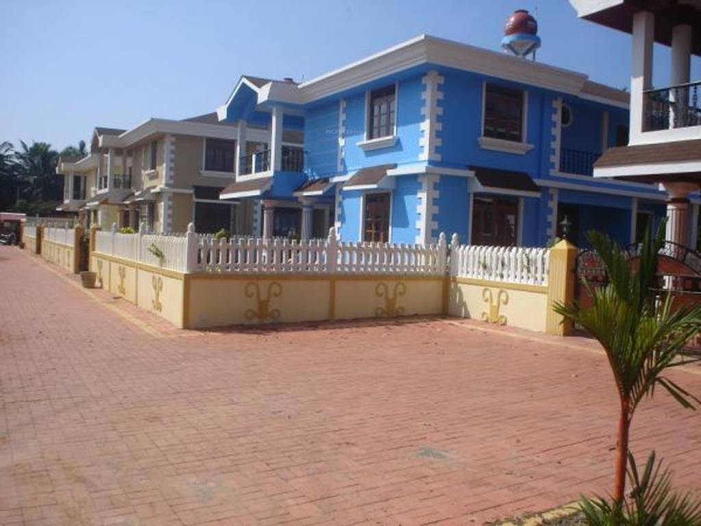 Images for Elevation of Nanu Sapana Orchid