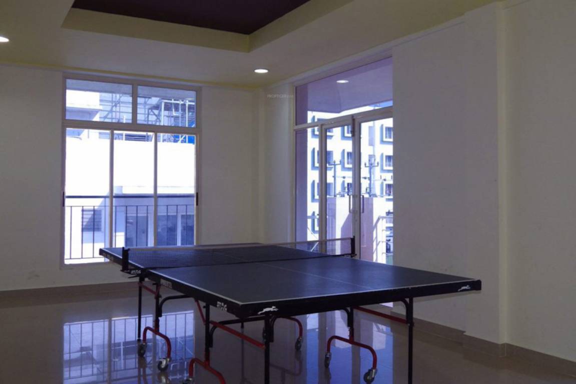  orchids Table Tennis