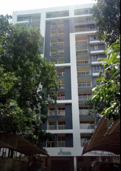 Elevation infranest Elevation