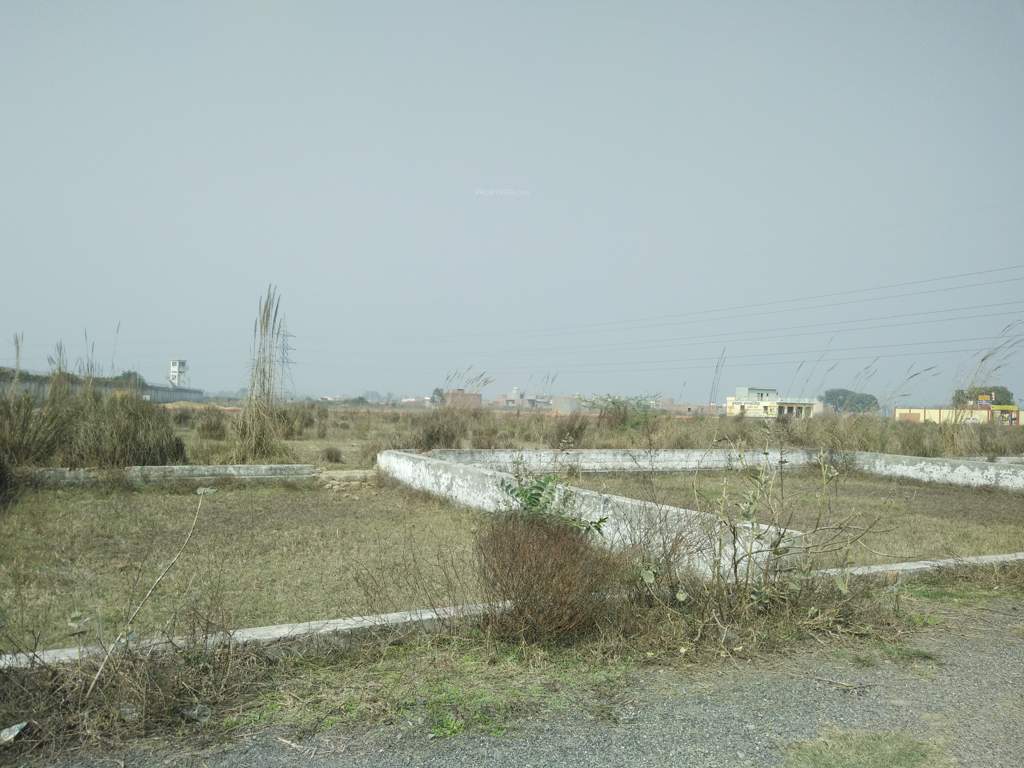 Images for mainOther